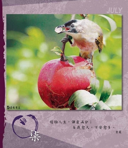 相片15