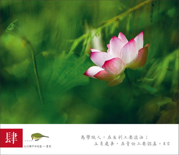 相片08