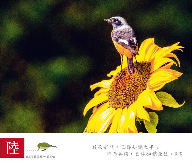 相片12