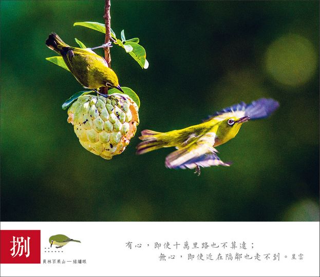 相片15