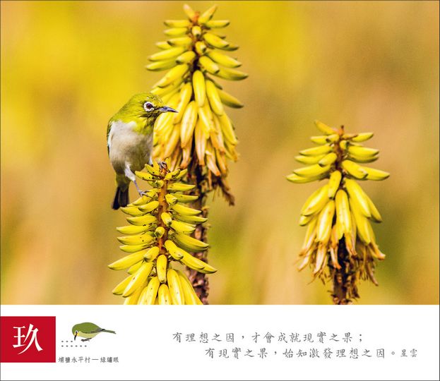 相片18