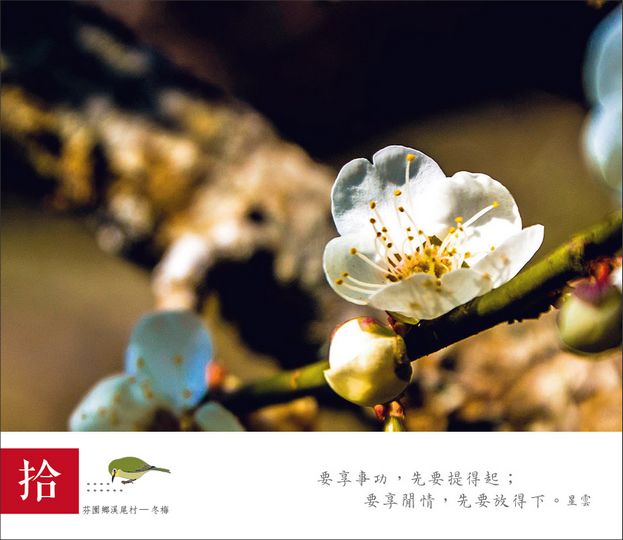 相片20