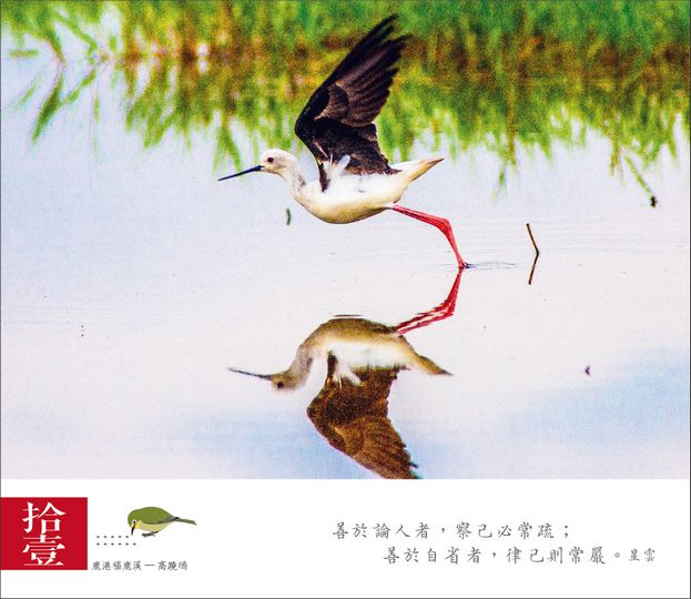相片22