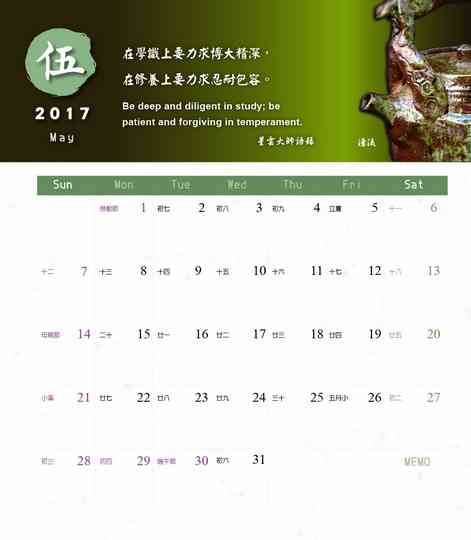 相片11