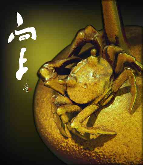 相片16