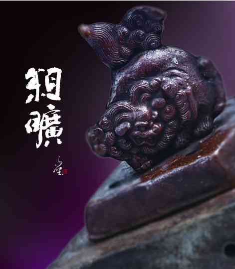 相片22
