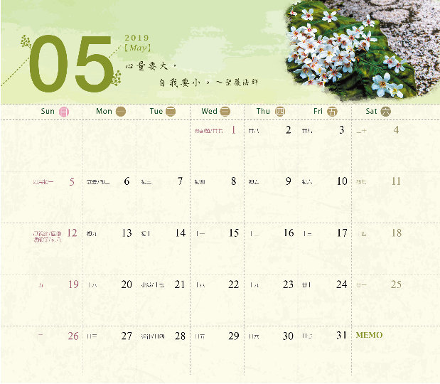 相片11